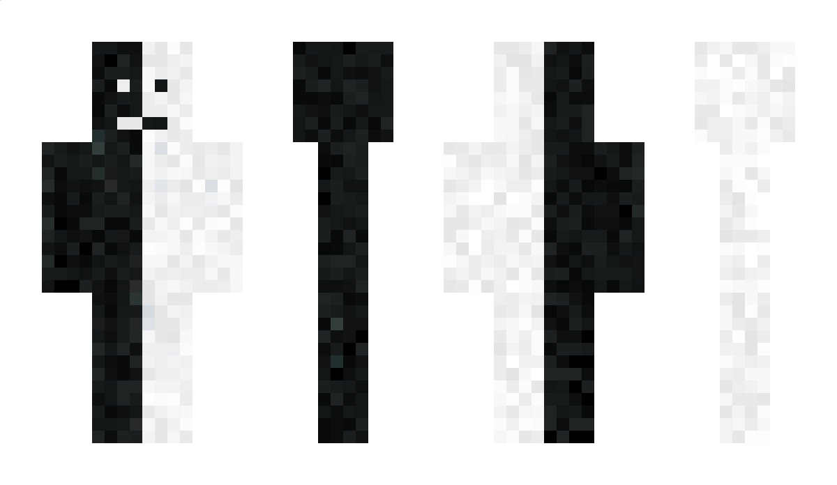 Etti_Zett Minecraft Skin