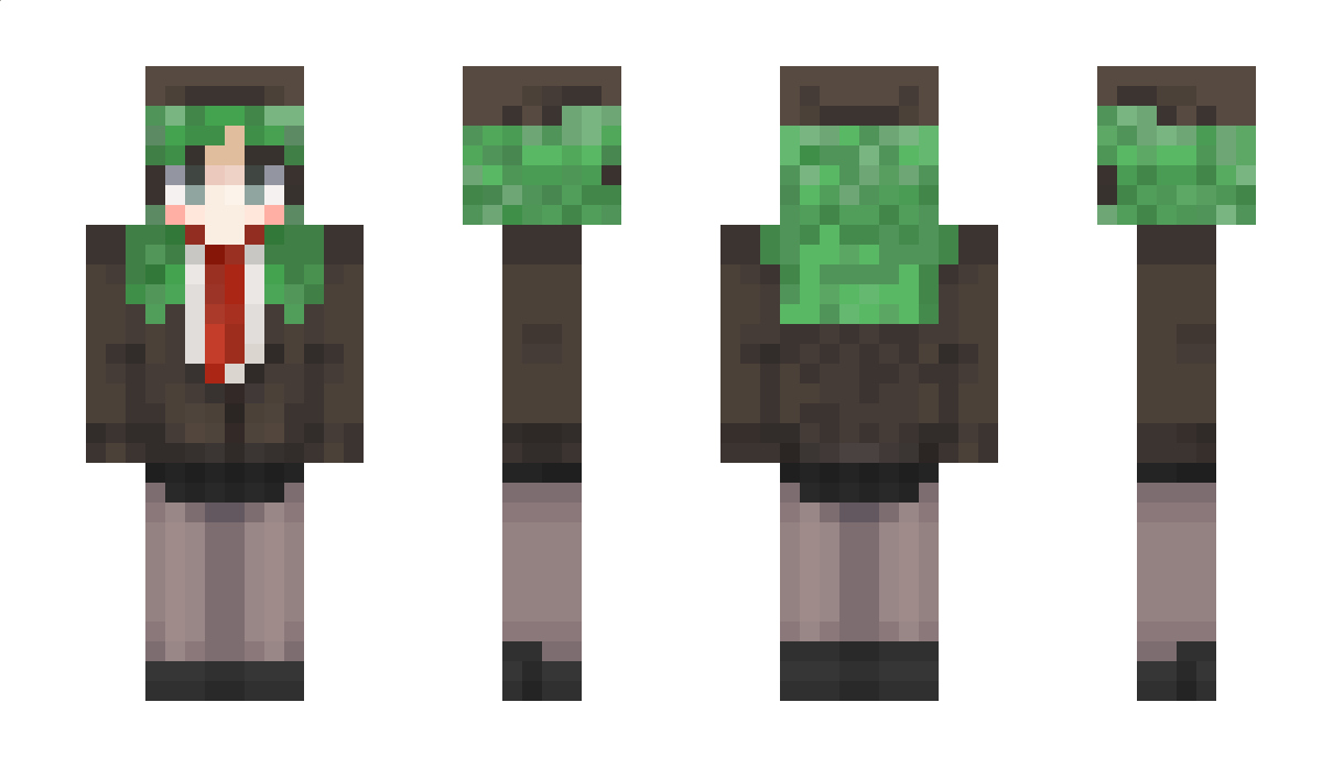 harryinquestion Minecraft Skin