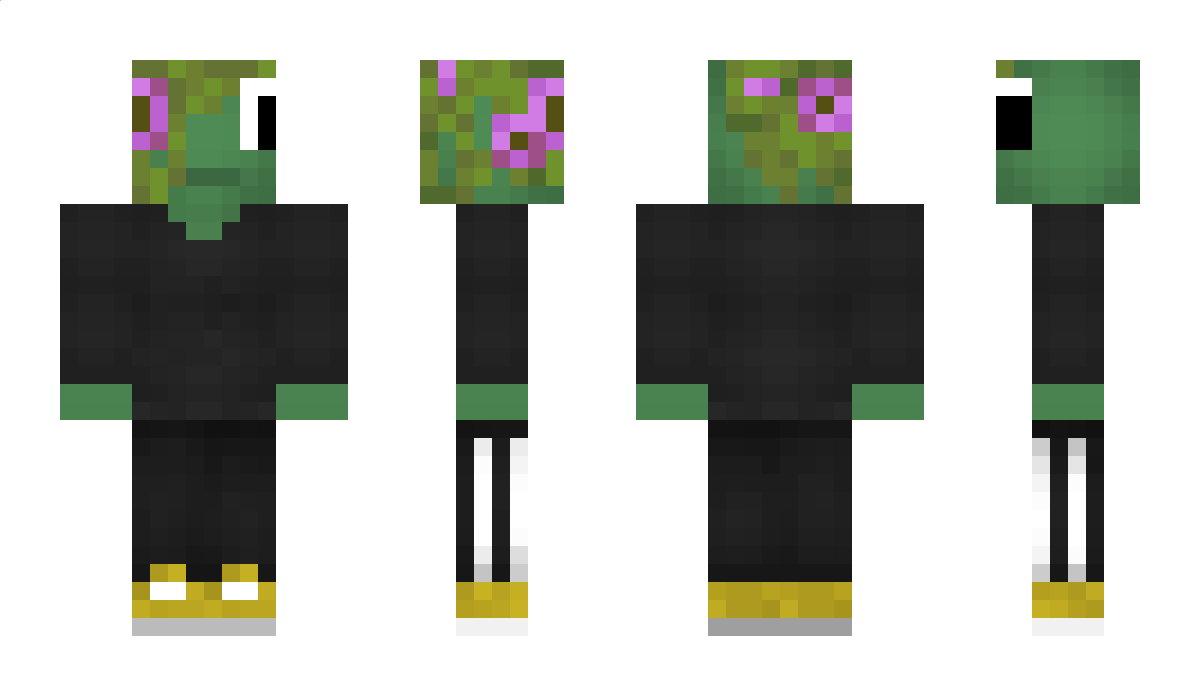 The_Frong Minecraft Skin