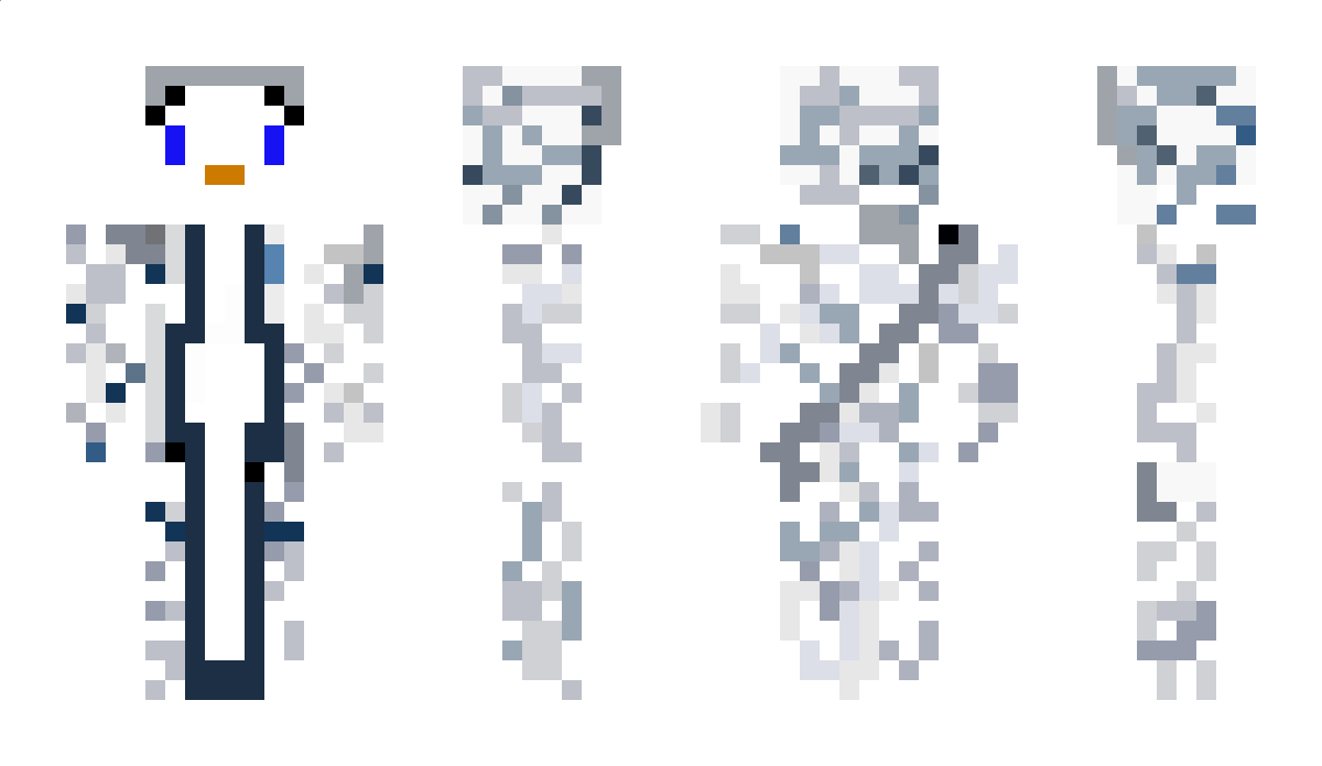 RandomPlatipus Minecraft Skin