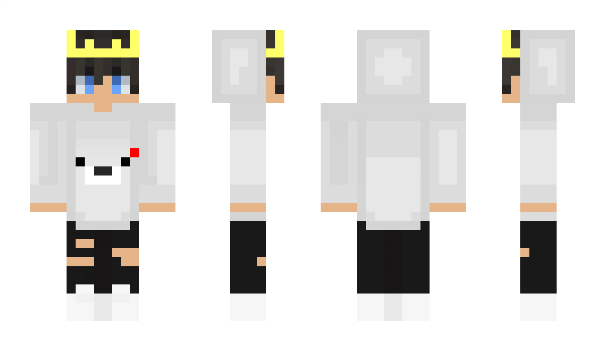 DawidWikli Minecraft Skin