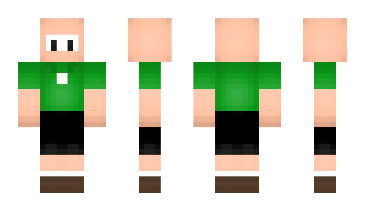 birobiro32 Minecraft Skin