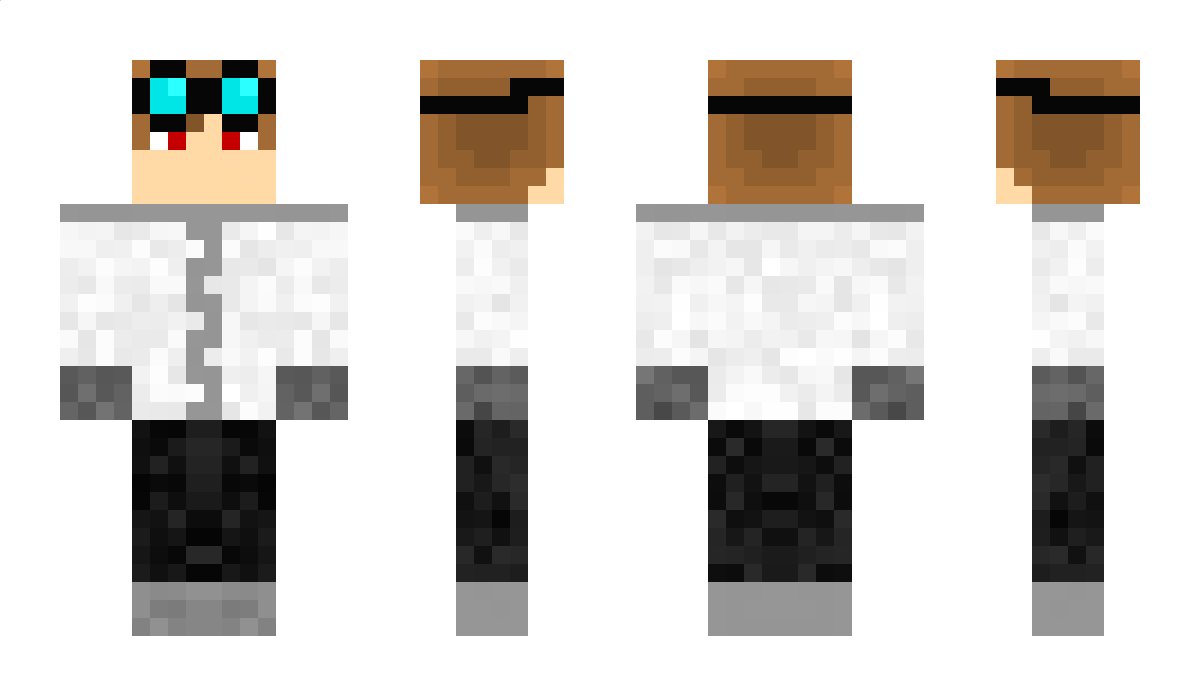 Navybog Minecraft Skin