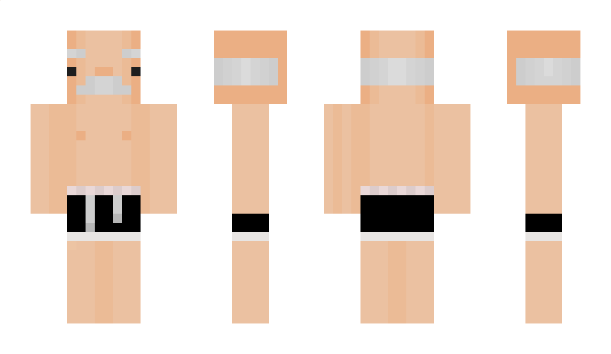 Lenneman1 Minecraft Skin