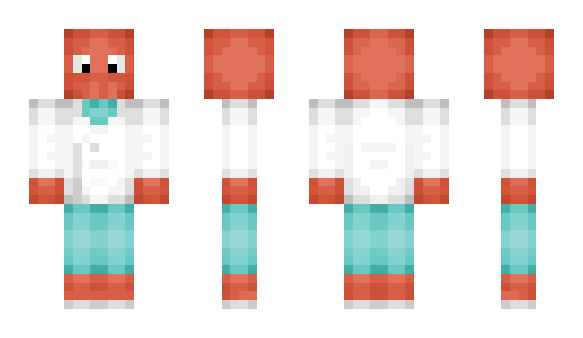 Haphhazard Minecraft Skin