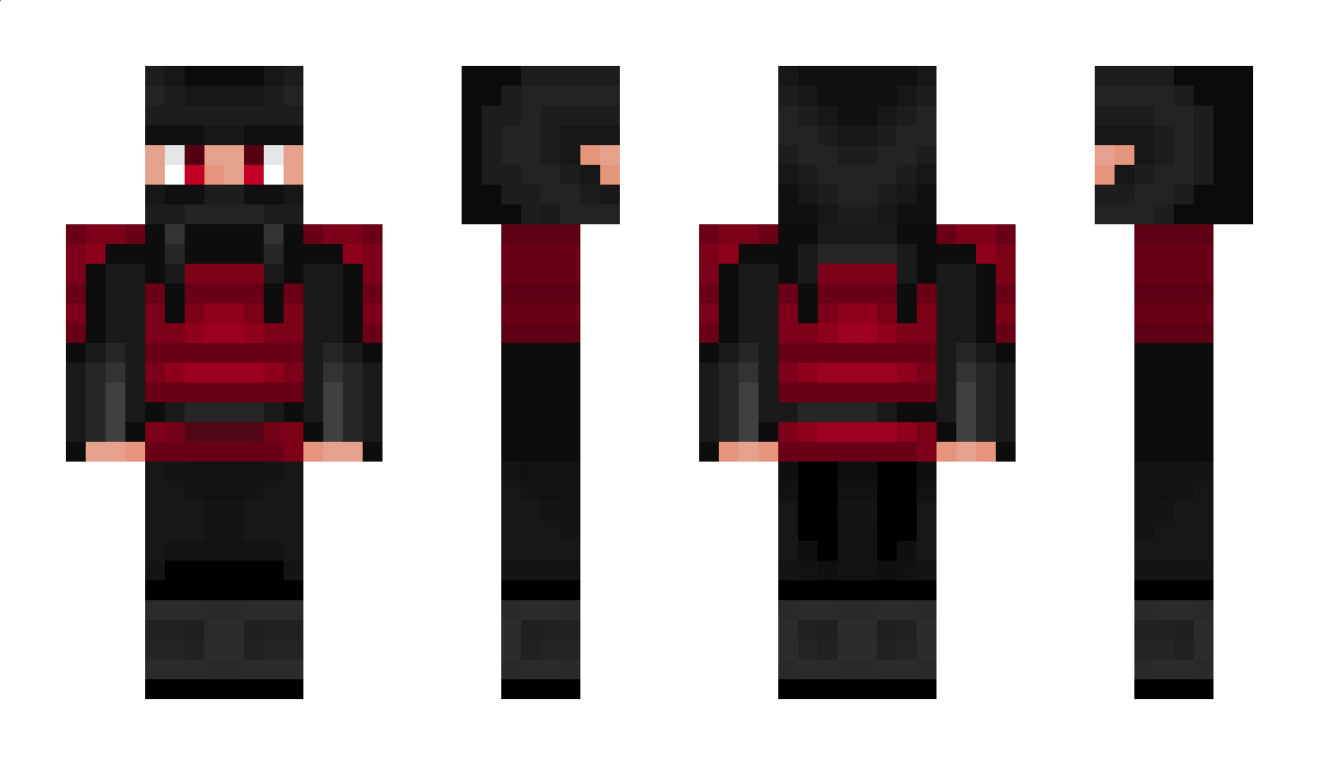 DISE Minecraft Skin