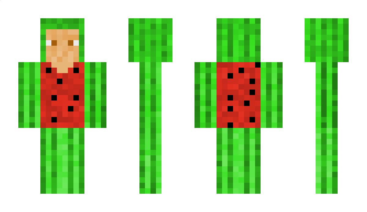 Furaxys Minecraft Skin