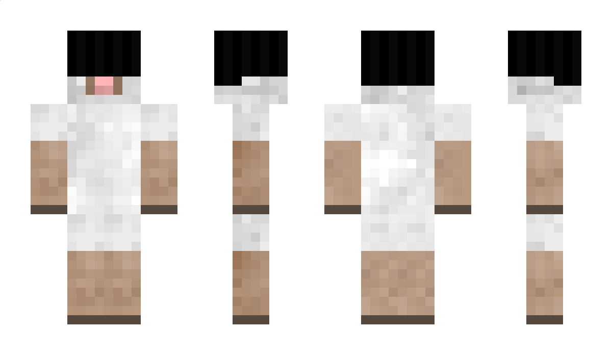 Roan Minecraft Skin