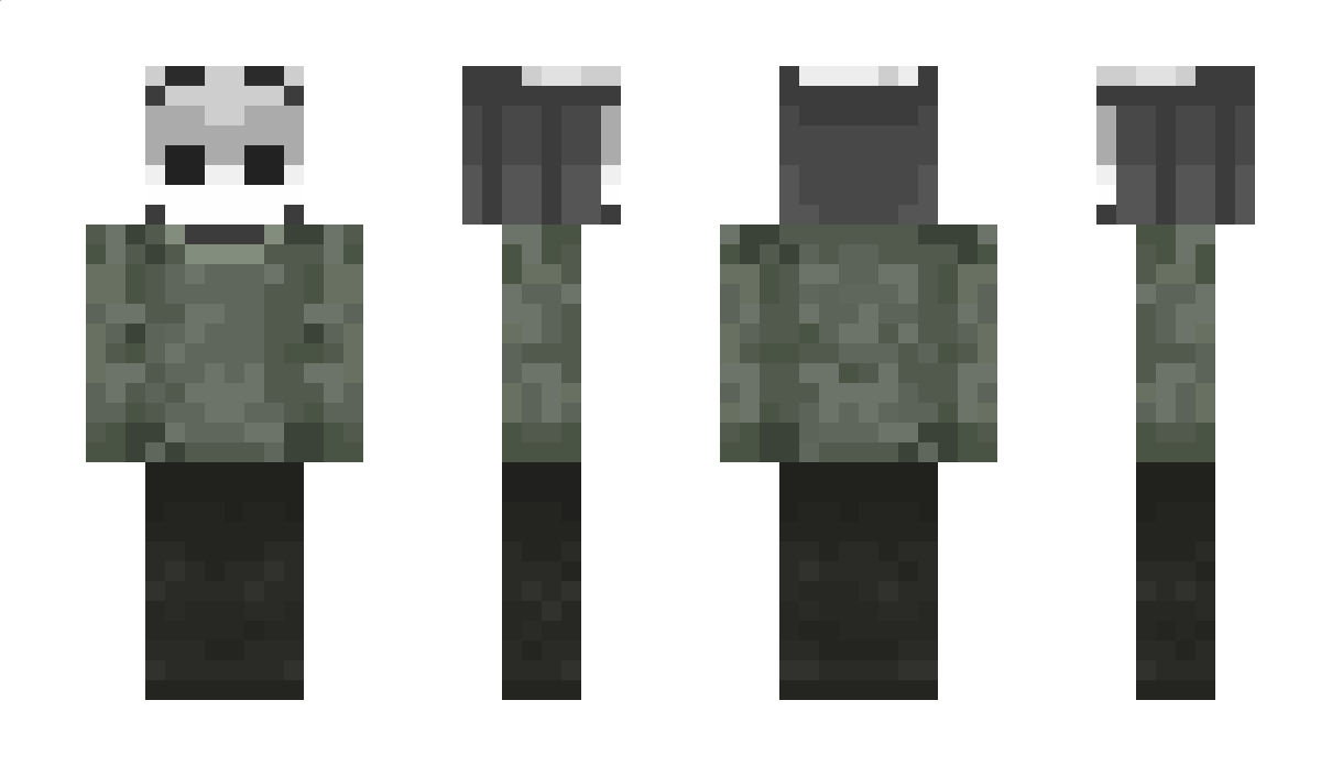 temptest1 Minecraft Skin