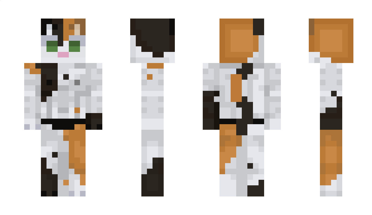 2mbfile Minecraft Skin