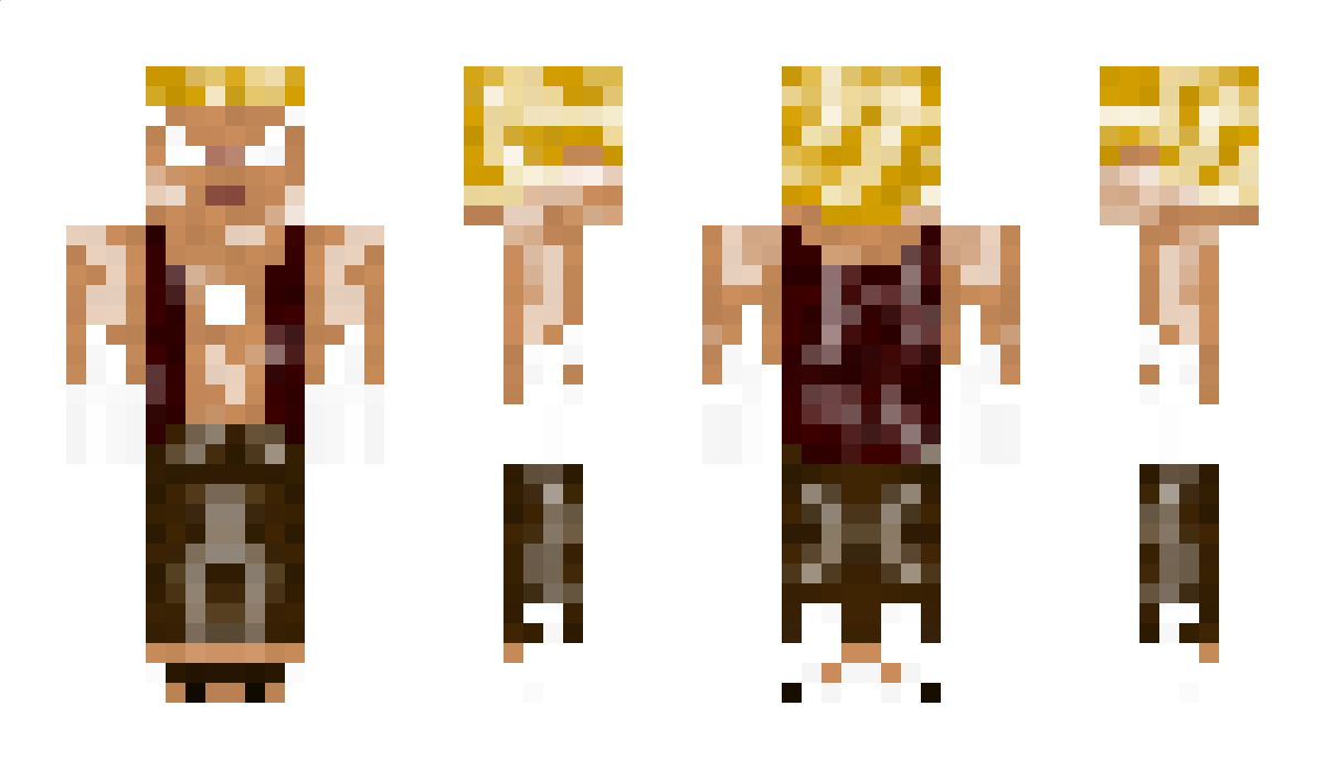 RandomPaladin Minecraft Skin