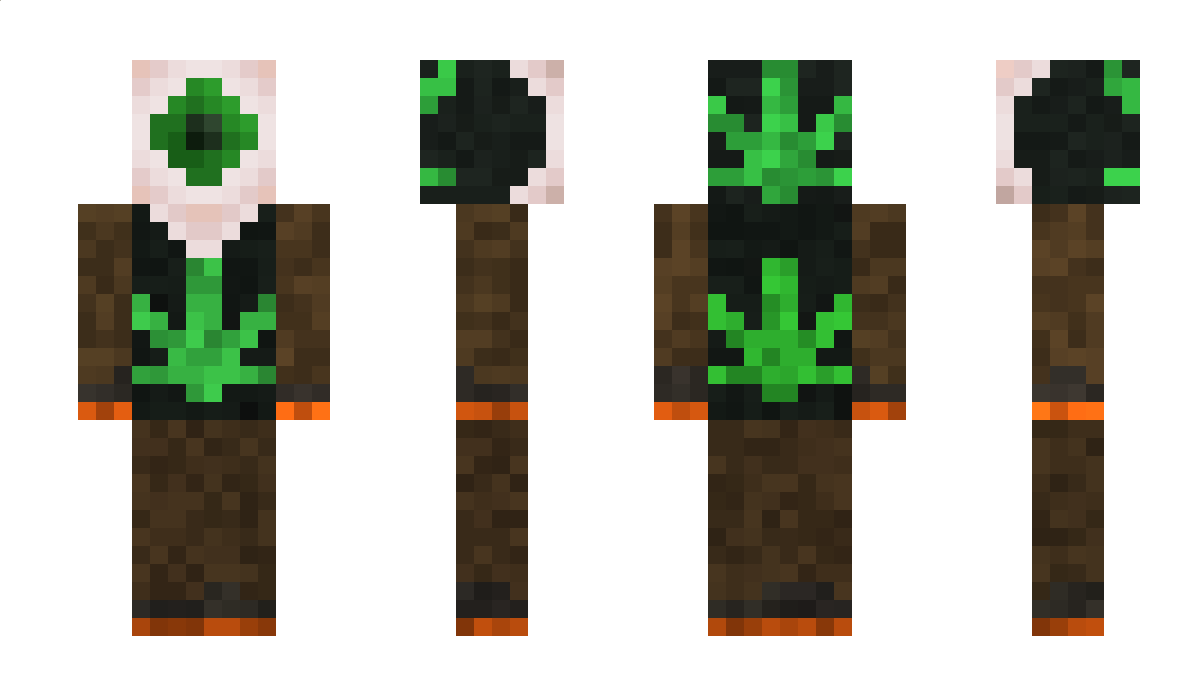 DerWolfi_420 Minecraft Skin