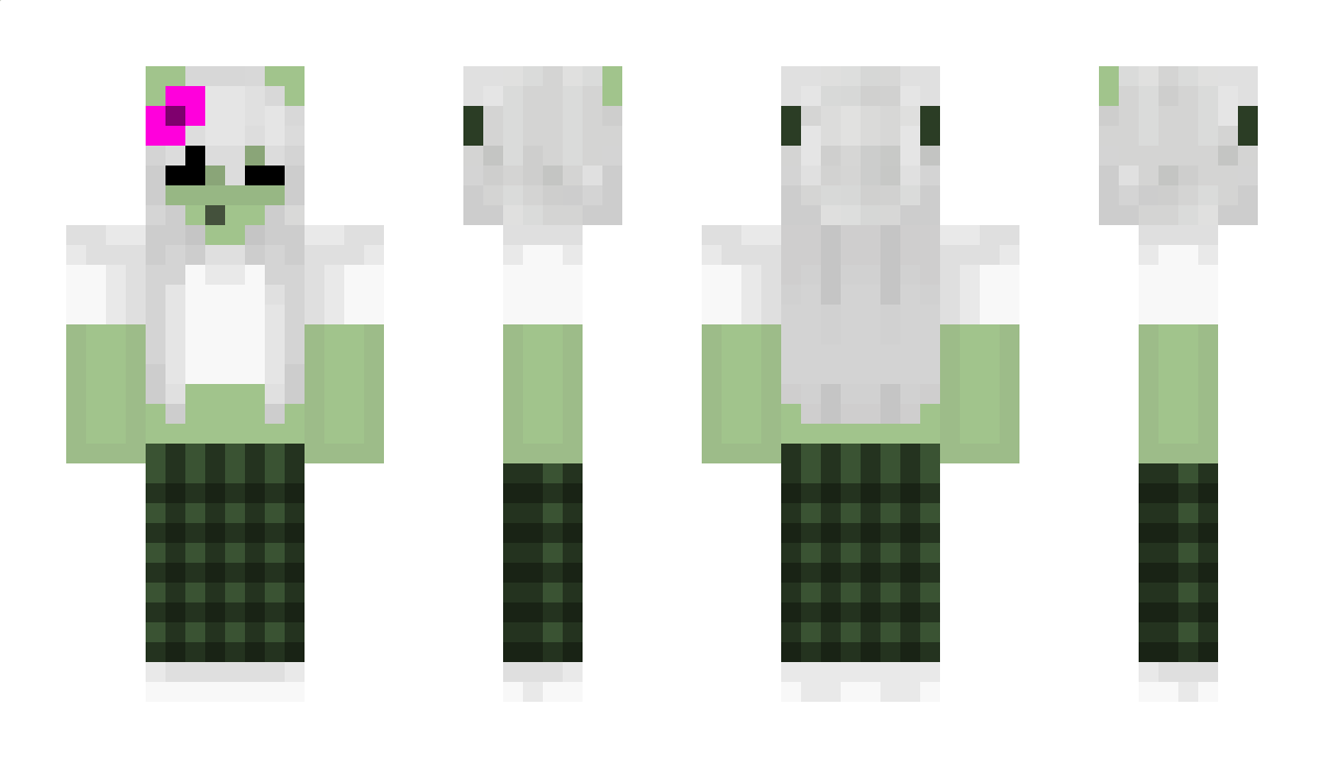 crunchcasual333 Minecraft Skin