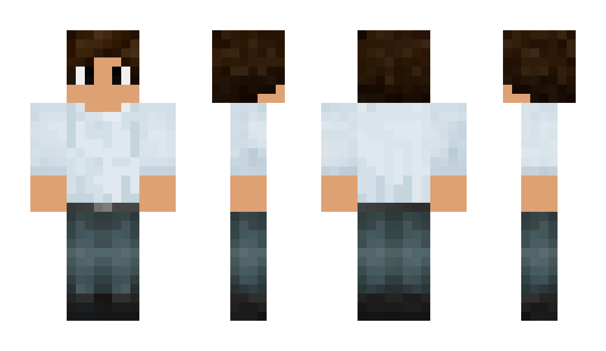 lechatdeschats Minecraft Skin