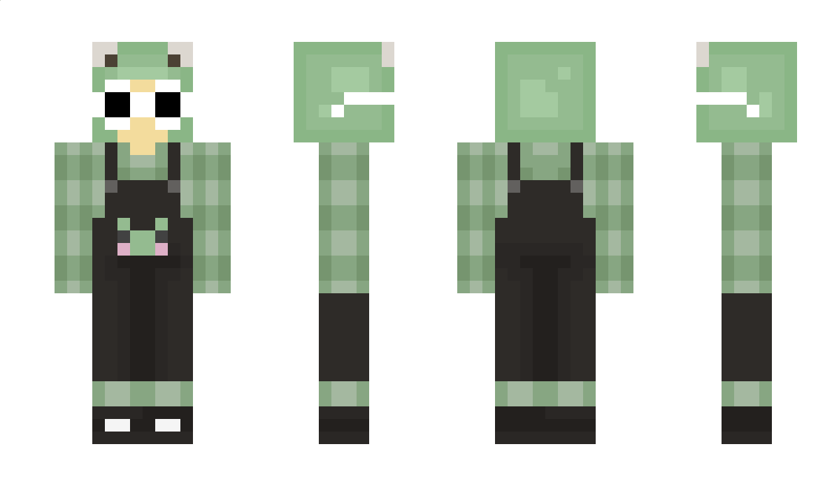 RoboticFrog Minecraft Skin