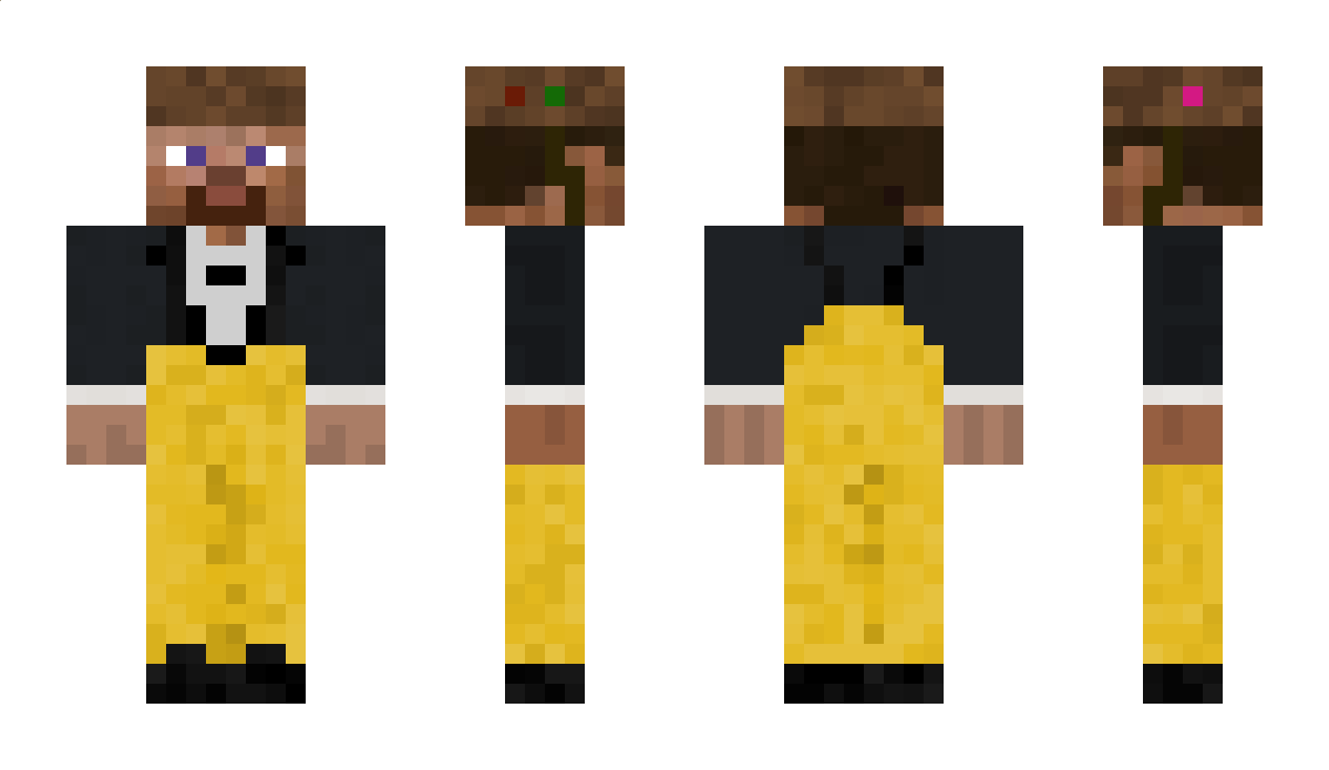 blindhamster Minecraft Skin