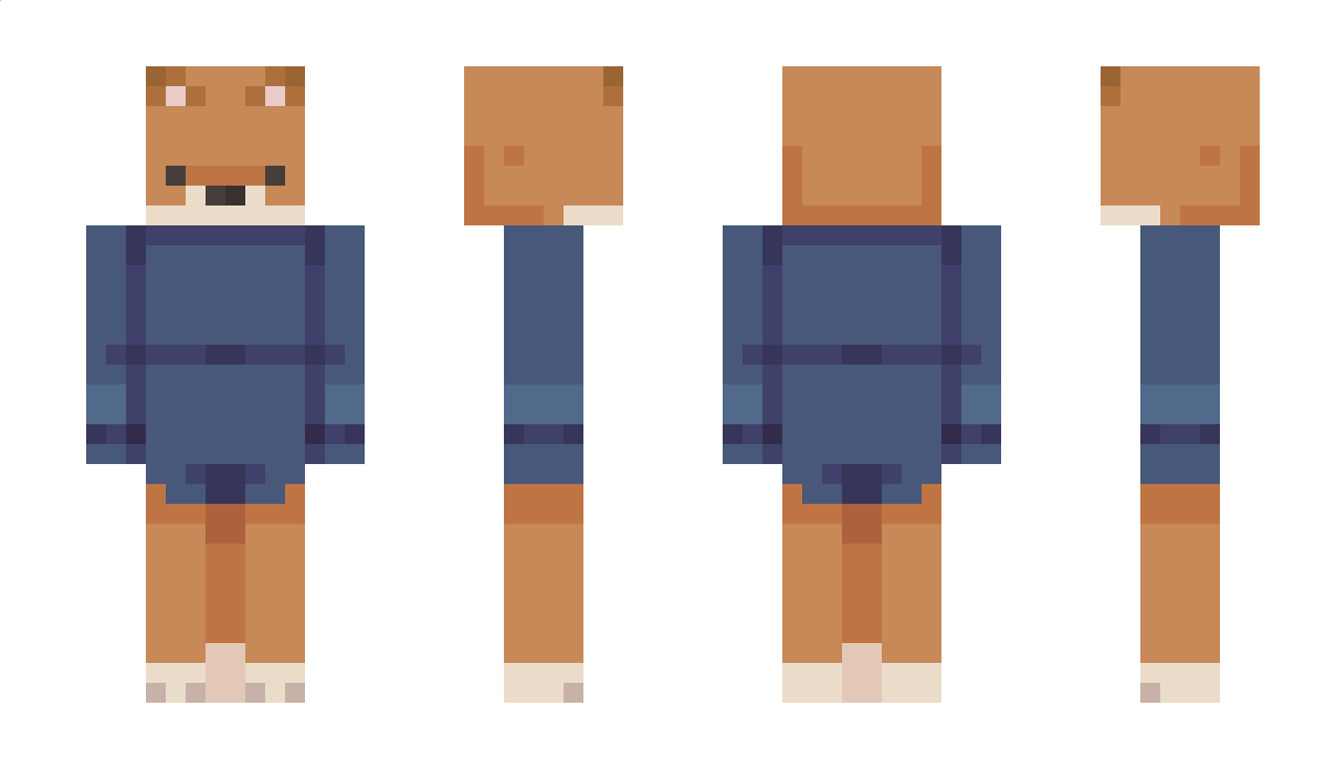 MedicalIssue Minecraft Skin