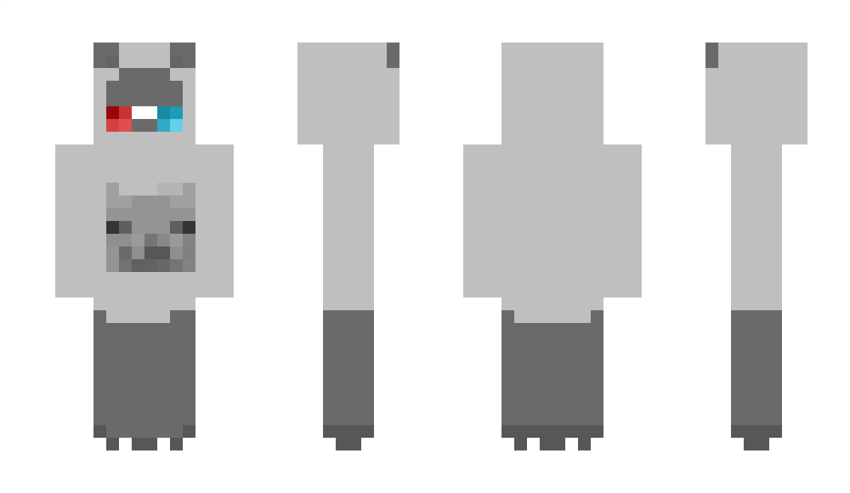 paddinton Minecraft Skin