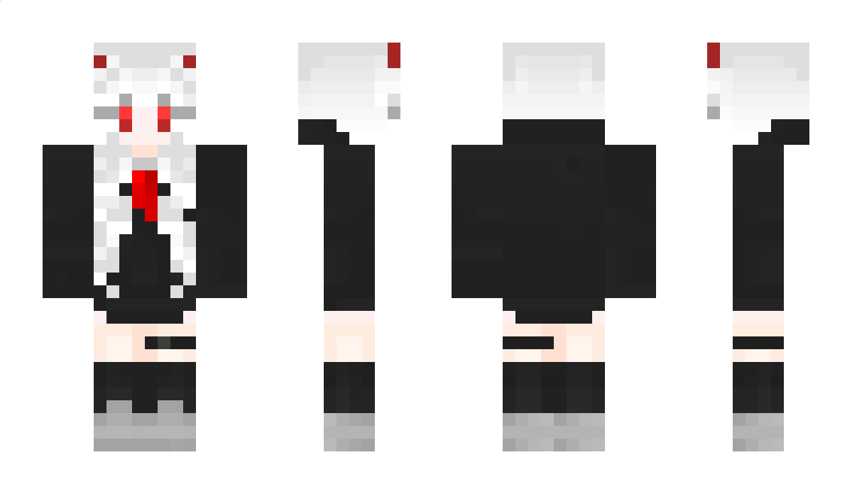 FlyDreamer Minecraft Skin