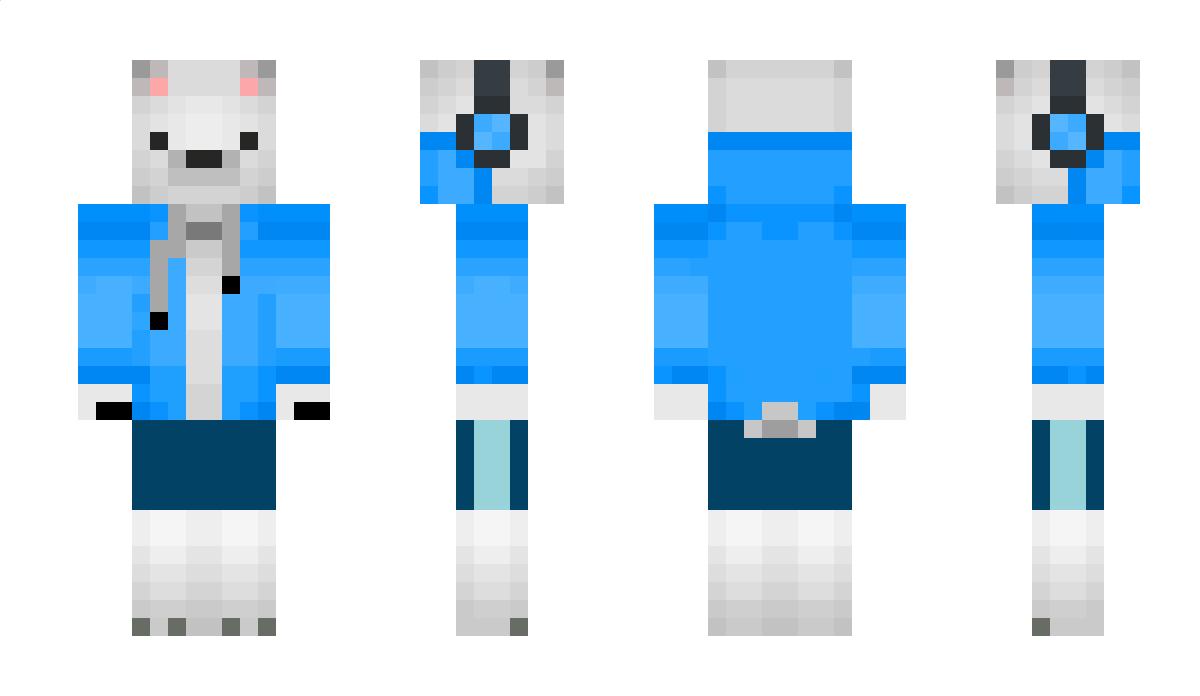 PolarGamerYT Minecraft Skin