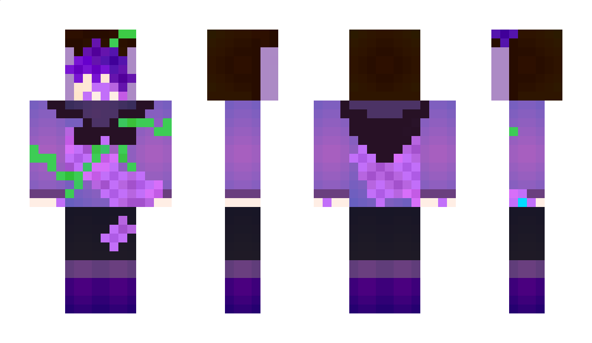 withercats Minecraft Skin