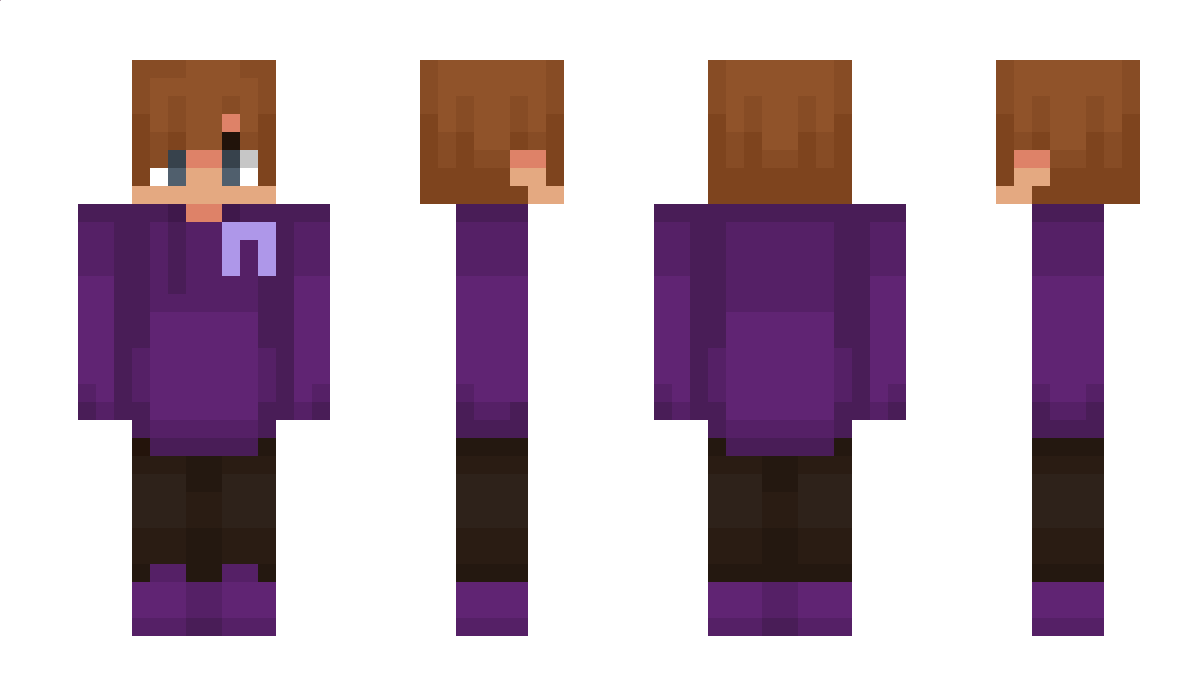 bebguin Minecraft Skin