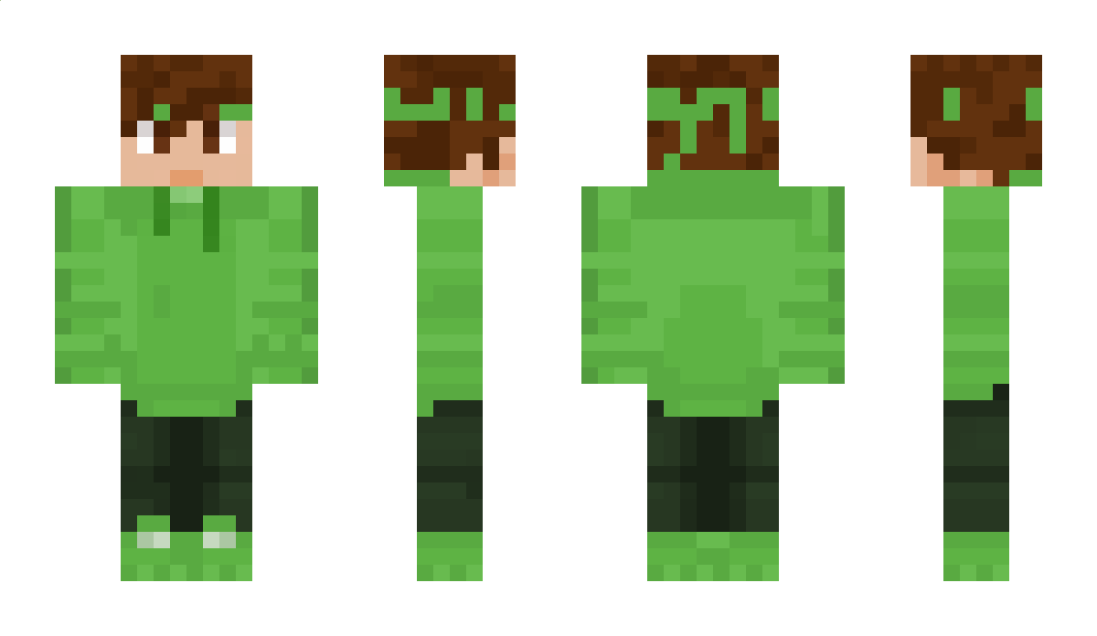 Henked Minecraft Skin