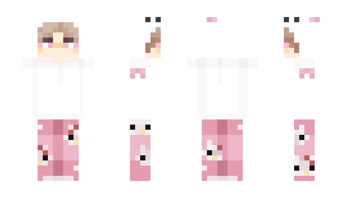 13371488 Minecraft Skin