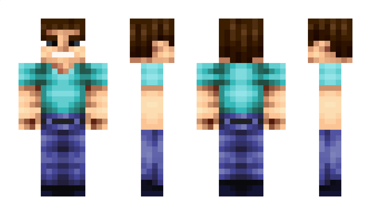MC24 Minecraft Skin