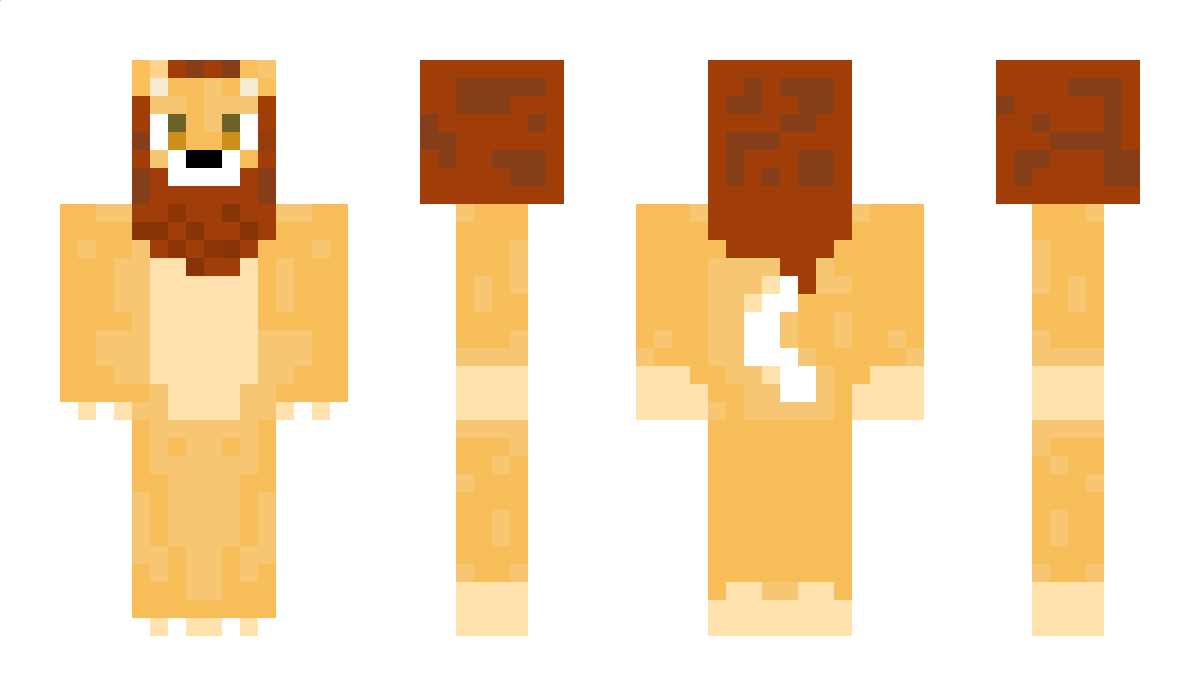 ShannB Minecraft Skin