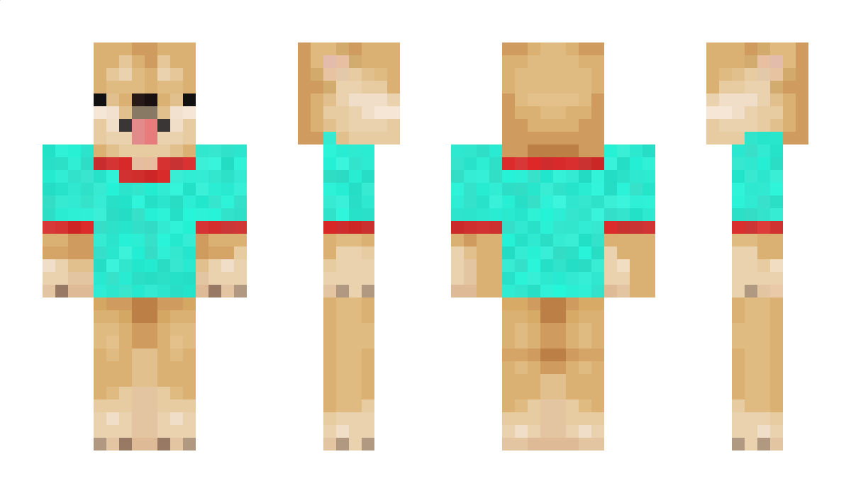 Galaxsdog Minecraft Skin