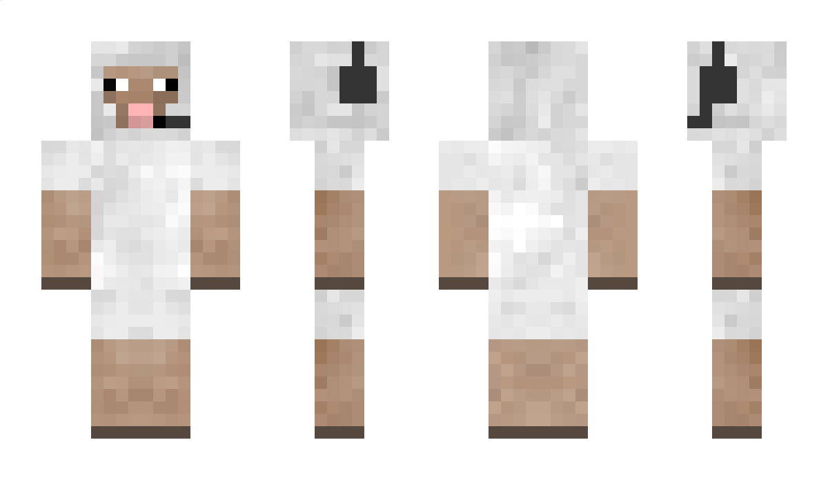 RyZey31 Minecraft Skin