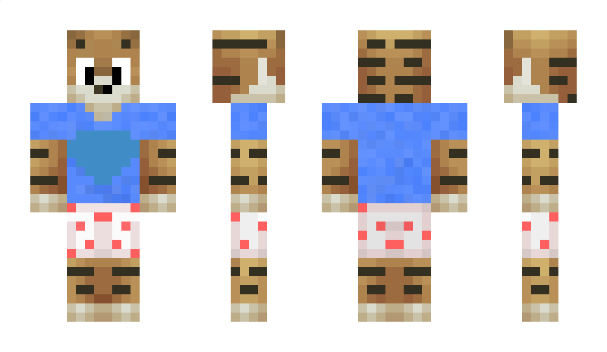 dxr Minecraft Skin