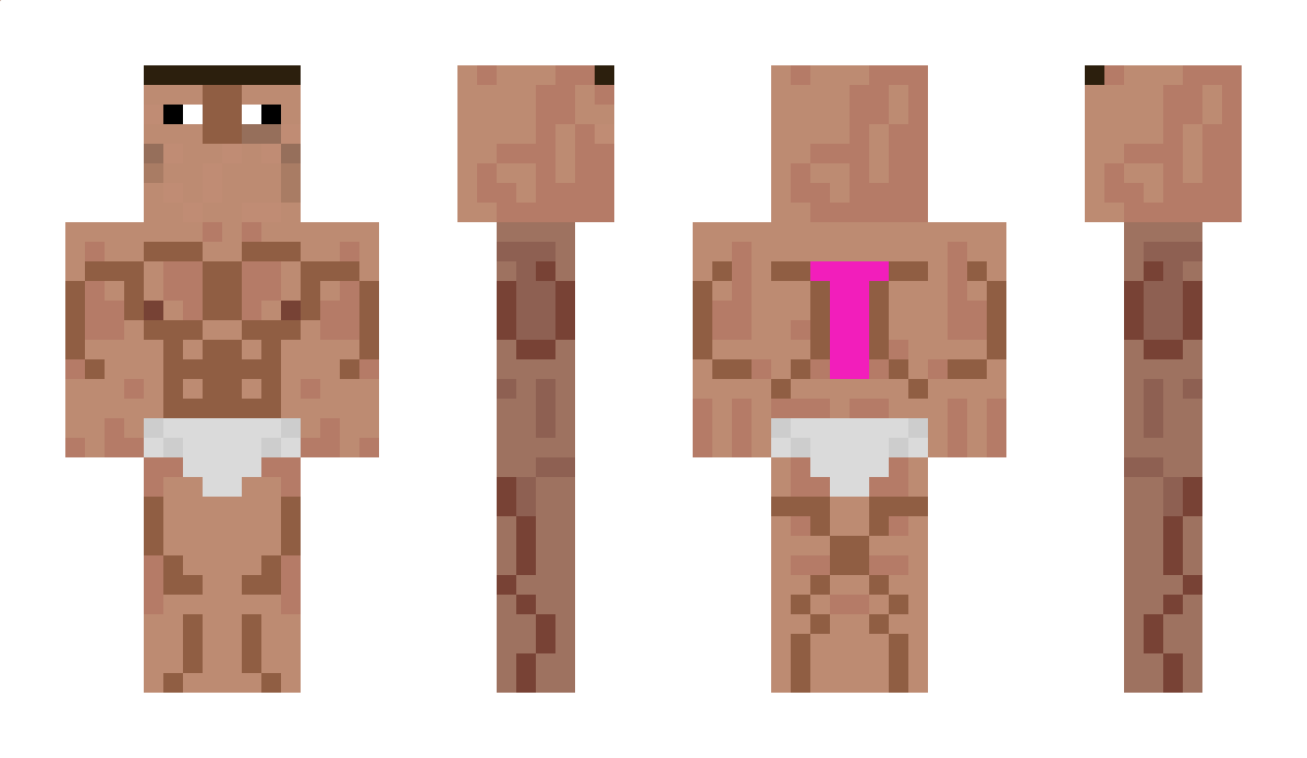 Dingus Minecraft Skin