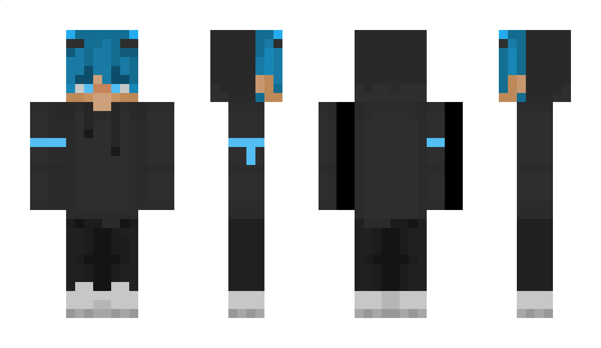 TOZAN37 Minecraft Skin