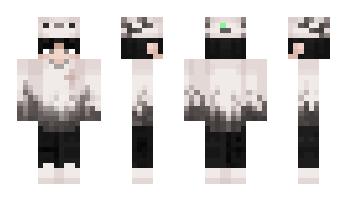 Hammy_yt Minecraft Skin