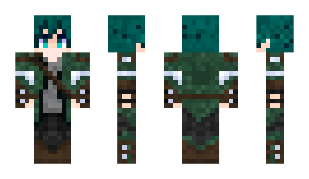 InducedTundra30 Minecraft Skin