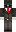 lsucatgames Minecraft Skin