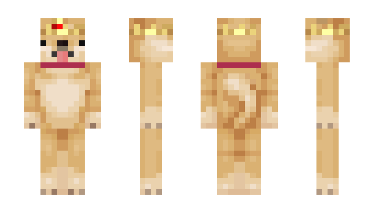 RoyalDoge Minecraft Skin