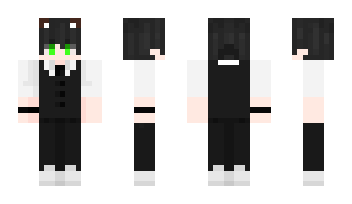 BearrGM Minecraft Skin