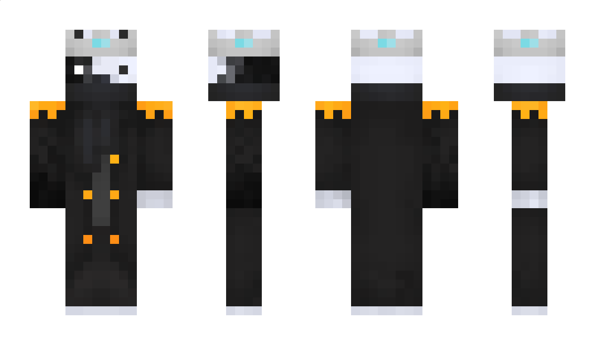 HiPolar Minecraft Skin