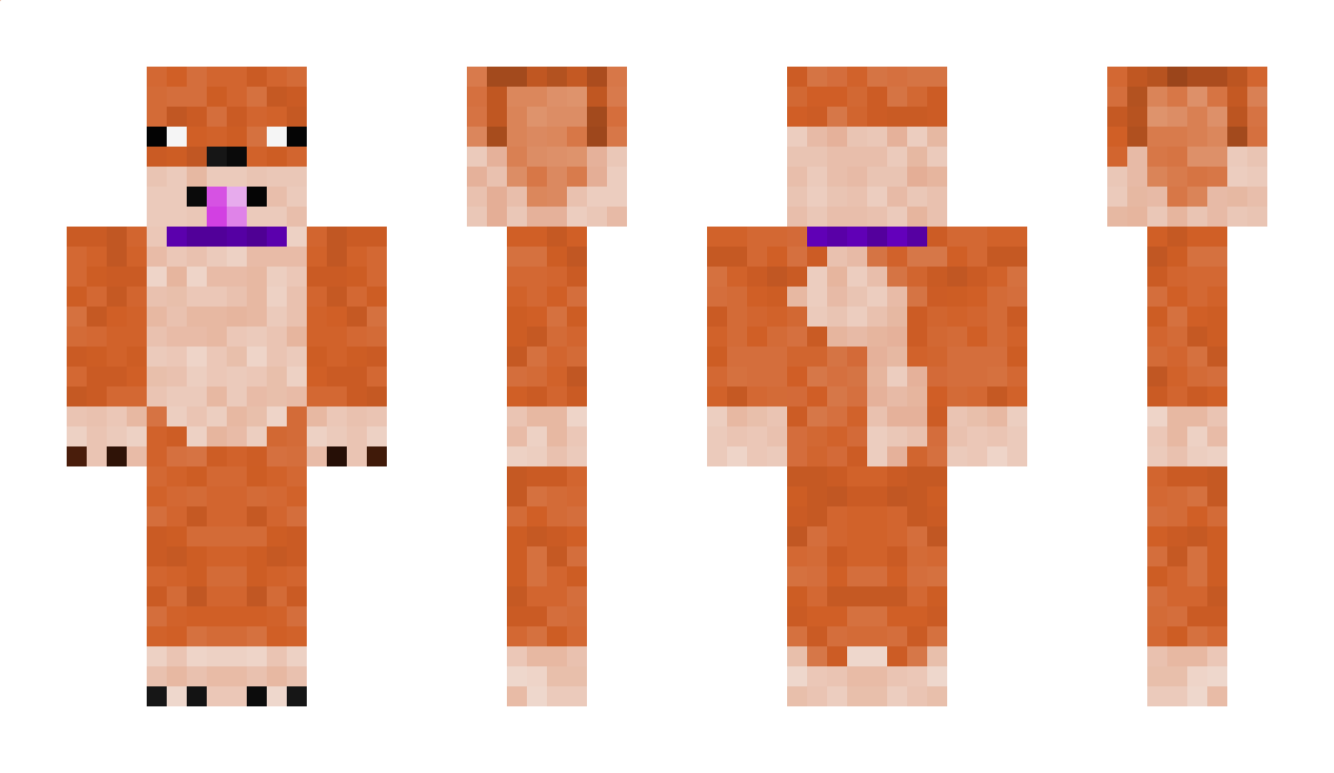 MisterBr0wnie Minecraft Skin