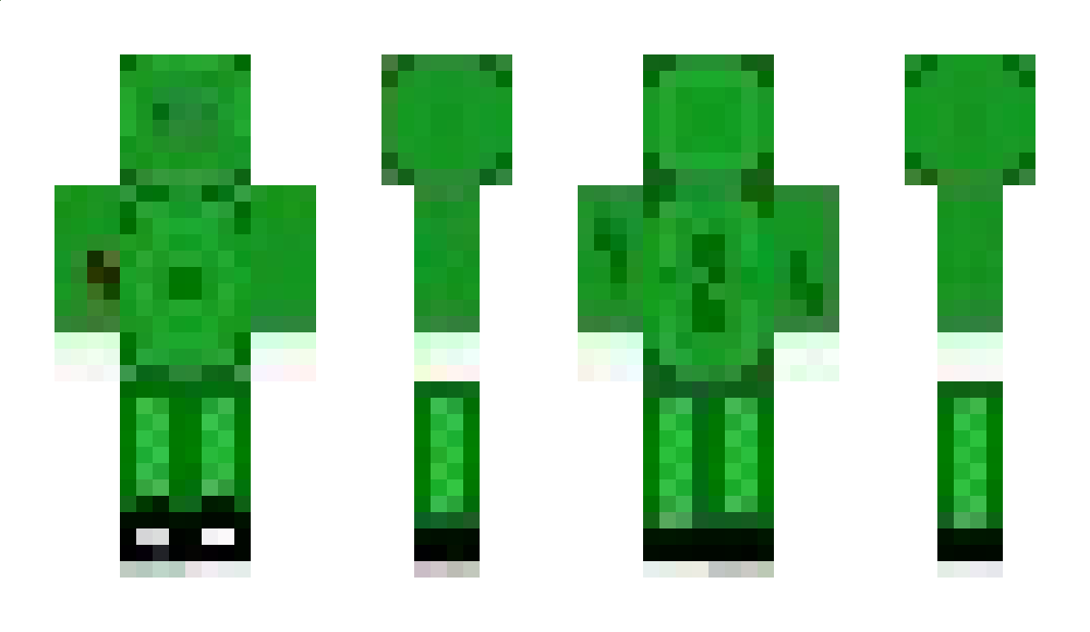 Blazegamer132 Minecraft Skin