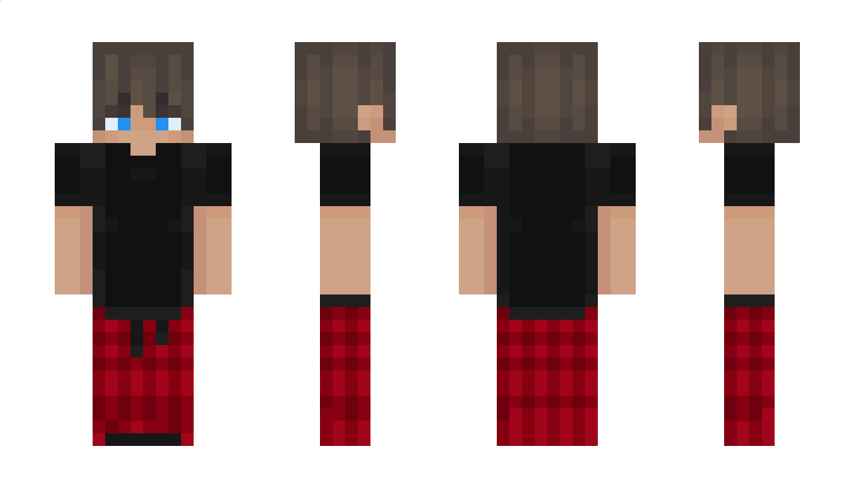 UgniuxasJr Minecraft Skin