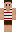 GPiccolo Minecraft Skin