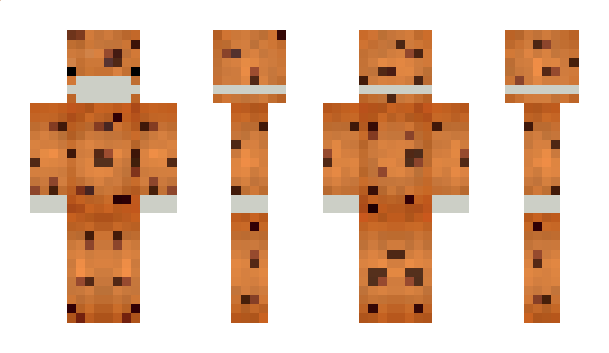 SoupBowl2146 Minecraft Skin