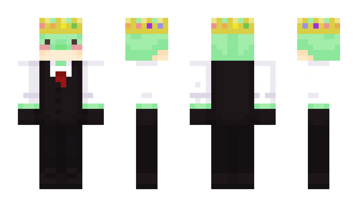 MrturltE74 Minecraft Skin