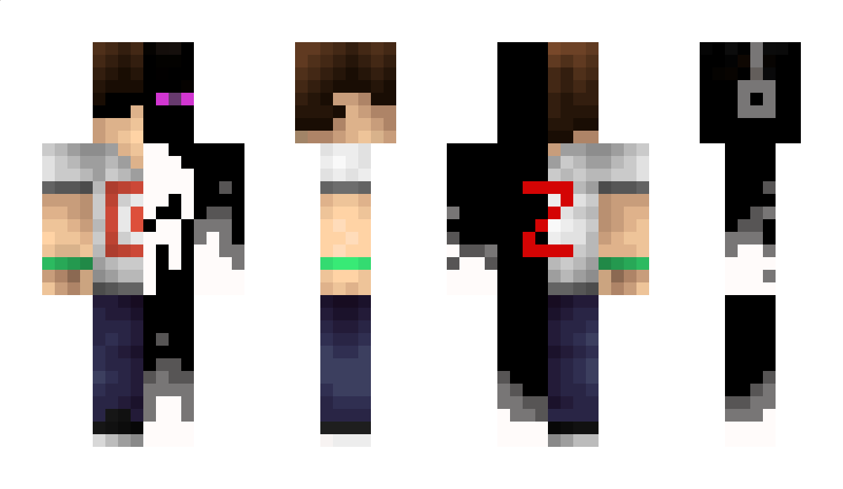 ZR1XYY Minecraft Skin