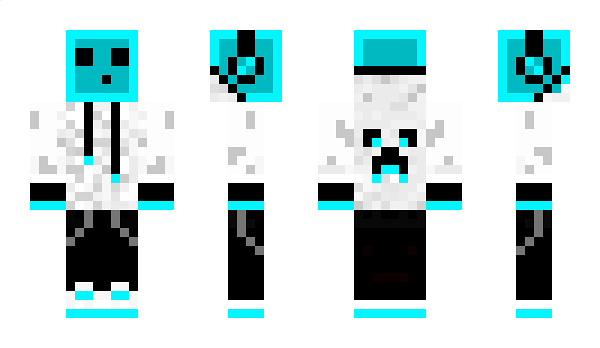 Important Minecraft Skin