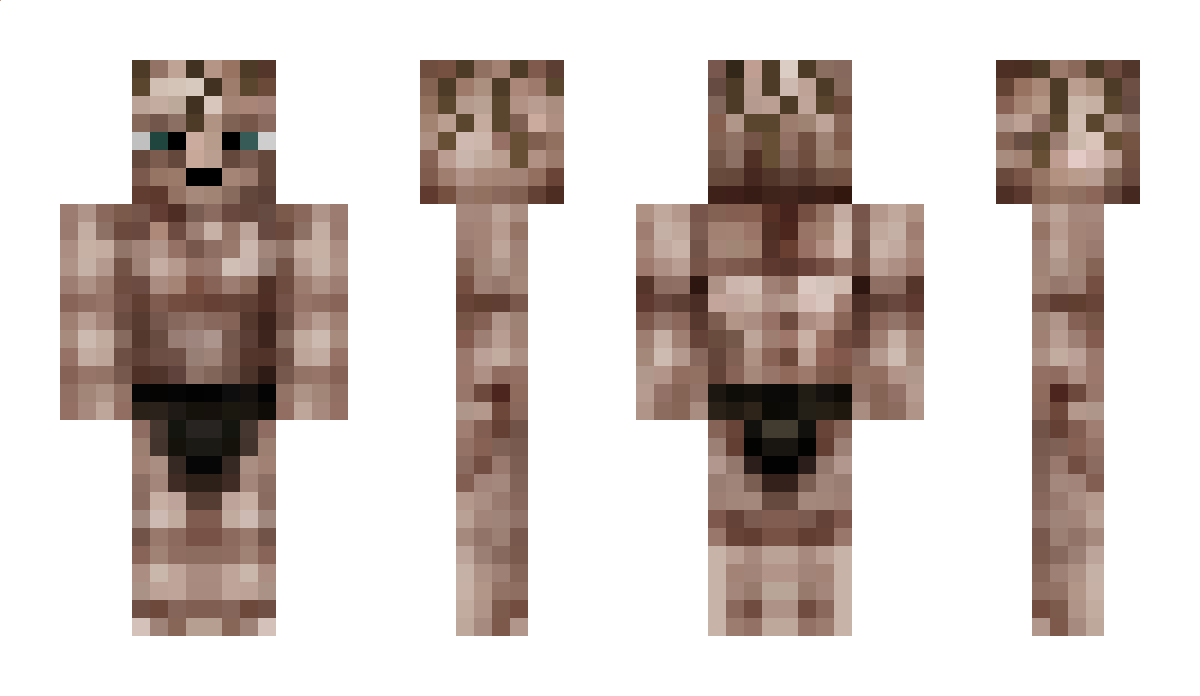 PalettenLP Minecraft Skin